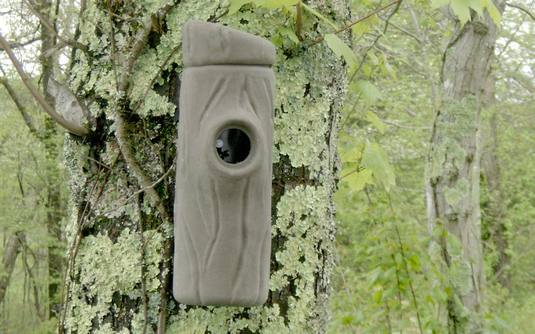 Eastern Bluebird Nest Box